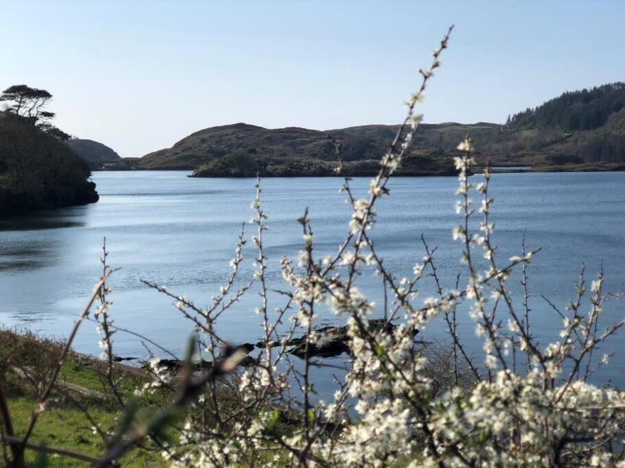 Lough Hyne Cottage 스키버렌 외부 사진